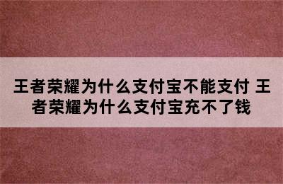 王者荣耀为什么支付宝不能支付 王者荣耀为什么支付宝充不了钱